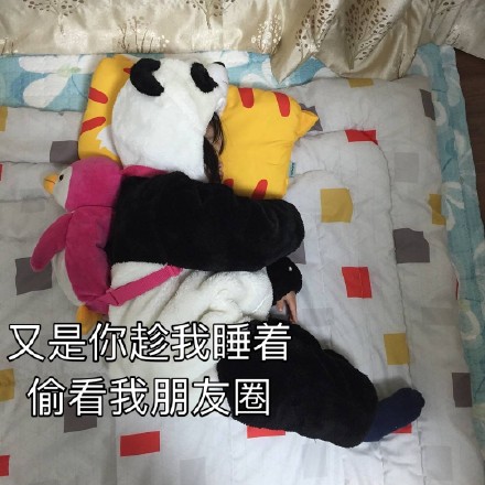 权律二朋友圈专属背景图合集