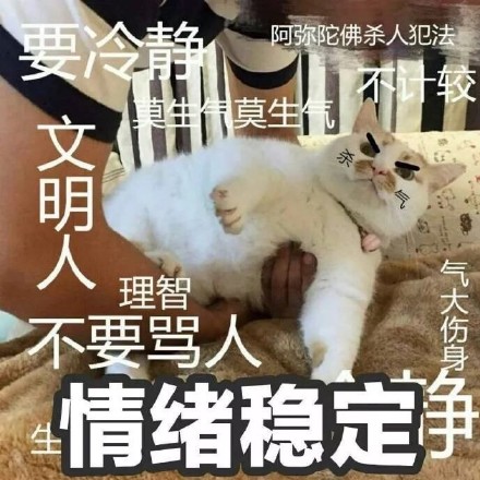 快收好这套永远楼楼表情包