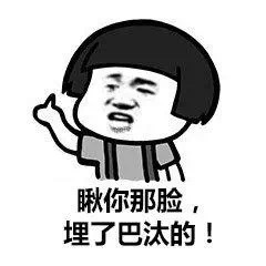 用东北话怼人表情包 斗图利器这不就来了