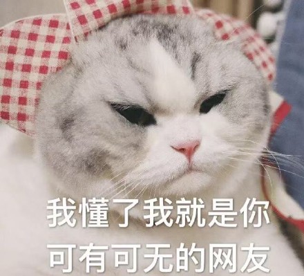 猫咪表情包第五弹来啦！