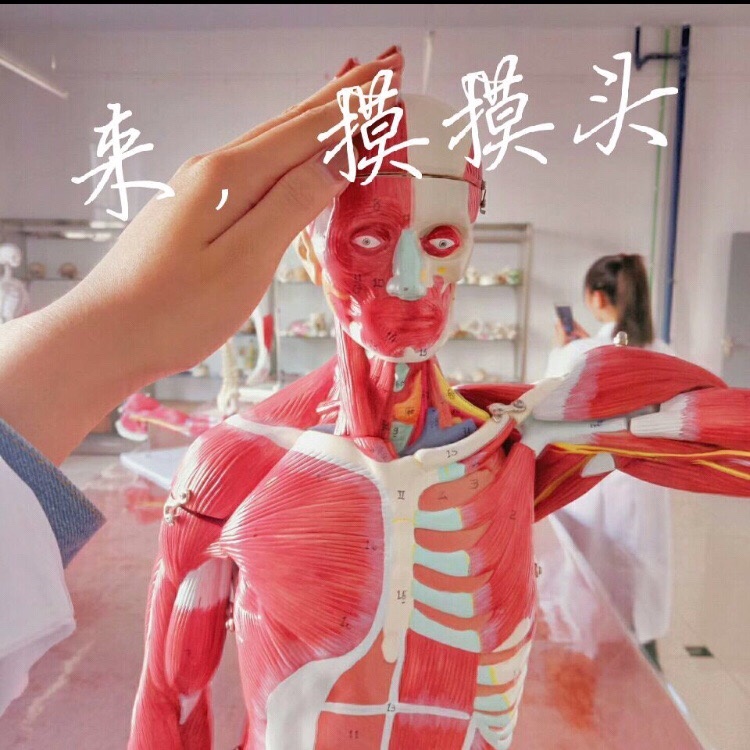 医学生专属表情包合集来啦！