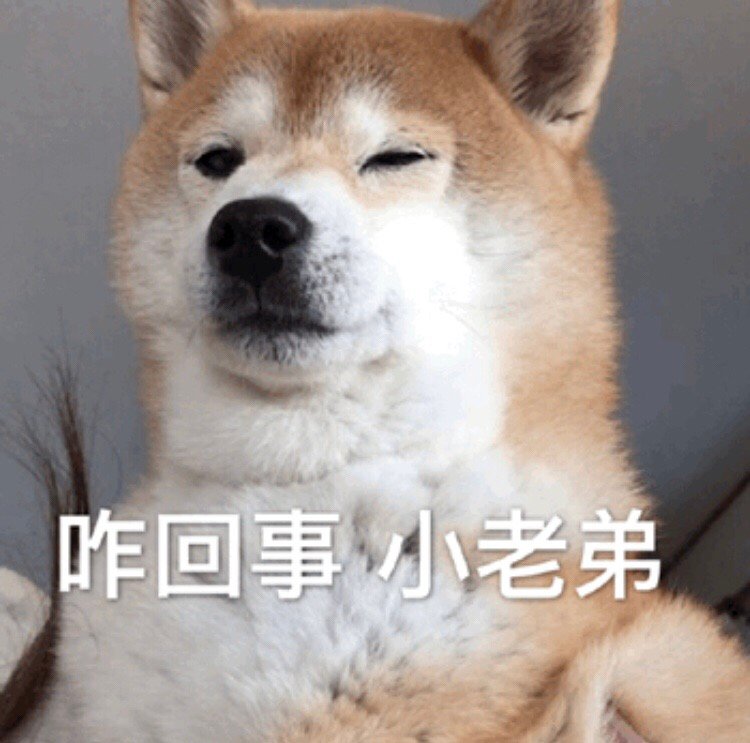 快乐狗子表情包合集来啦