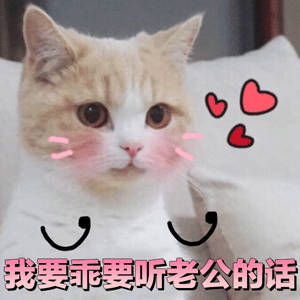 哄老公神器！这套萌系表情包直接拿捏另一半