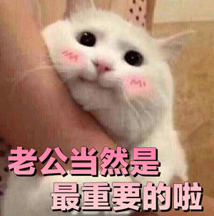 哄老公神器！这套萌系表情包直接拿捏另一半