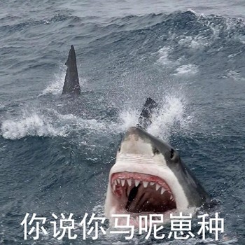 这套鲨鱼沙雕表情包，斗图时直接封神