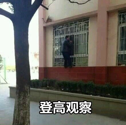 谁懂啊！当年被班主任暗中观察的社恐DNA动了