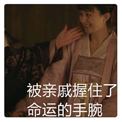 《知否》大娘子表情包合集 聊天斗图都能用