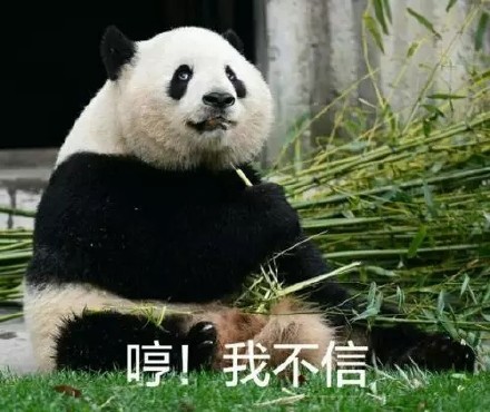 整理好的大熊猫斗图表情包合集