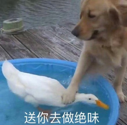 聊天斗图必备！这套可爱汪星人表情包太好用了