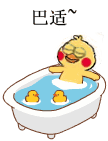 超实用小黄鸡洗澡表情包合集