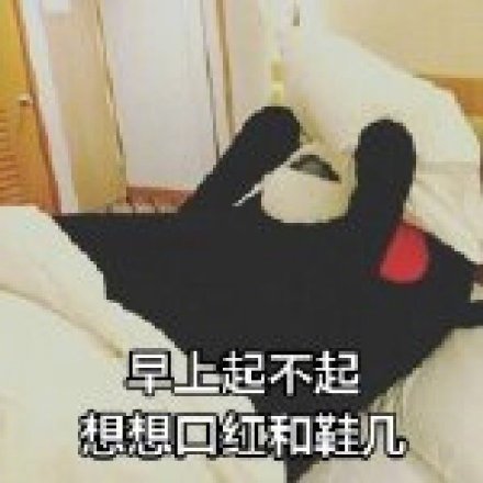 熊本熊版“人间真实”表情包来了：用火锅、脱发当“打气口号”