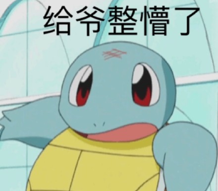 杰尼龟表情包合集来啦