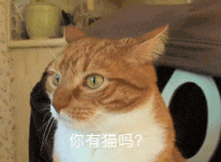 谁还没这套「你有猫吗」表情包？