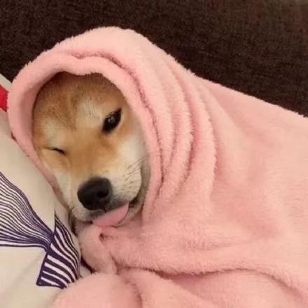 今天的头像合集来啦