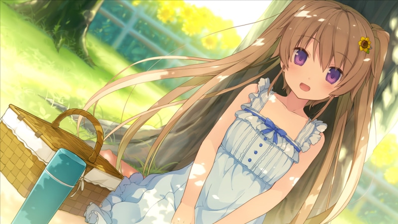 苍蓝彼方的四旋翼动漫壁纸来啦