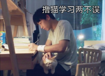 超好用的奋斗吧少年表情包合集