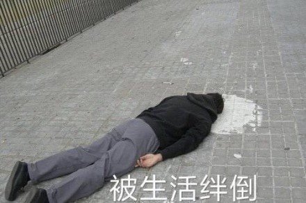 打工人emo必备！这组丧系表情包太贴心情了