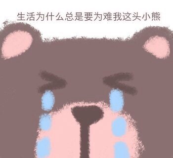 超萌小熊聊天表情包合集