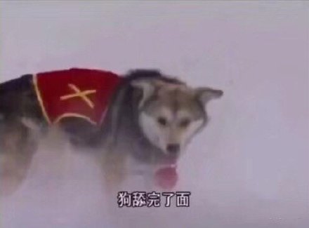 被问什么时候谈恋爱？这套表情包帮你回怼