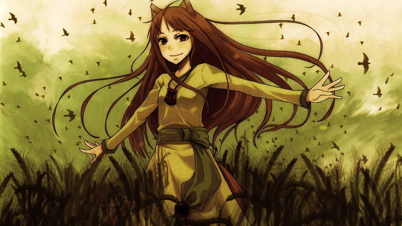 狼与香辛料赫萝绝美户外壁纸合集