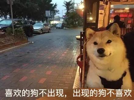 单身狗的真心话大公开