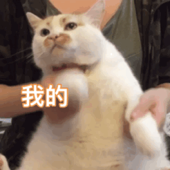 超治愈！这组猫咪动态表情包太适合斗图了