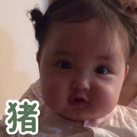 小刚几相关死肥宅表情包合集来了