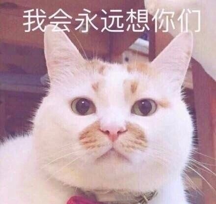快收好这套永远楼楼表情包