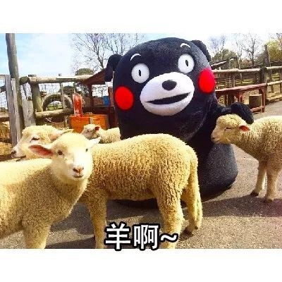 打工人破防了？这套表情包替你说出“不用上班”的爽感