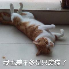 打工人摸鱼必备！