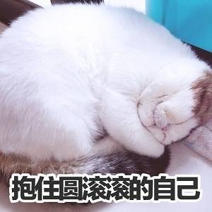 打工人斗图必备！这波减肥表情包精准戳中你的痛点