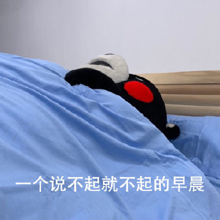 五一宅家的我，简直是熊本熊本熊！