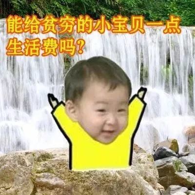 软萌讨钱表情包合集，聊天开口要钱全靠它