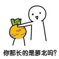 “你脑子进萝北了吗？”这套梗表情包火了