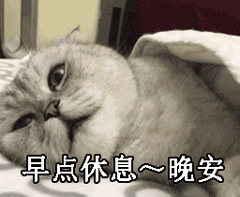 猫咪版晚安邀约表情包来啦