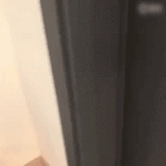 超火萌娃黄夏温开门表情包合集