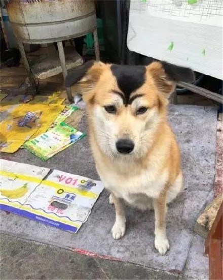 看一眼就笑喷！这些修勾长在笑点上了