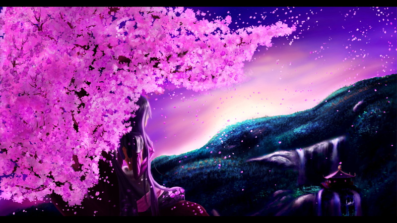 樱花幻想动漫壁纸合辑