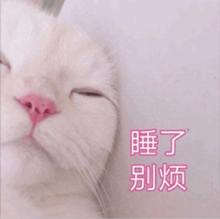 猫咪版晚安邀约表情包来啦