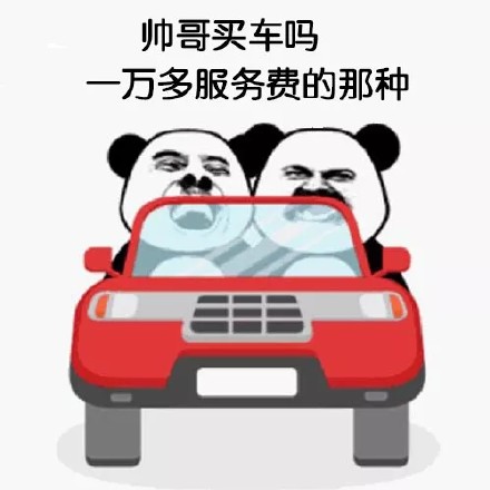 聊天斗图新宠：「买车吗」表情包合集