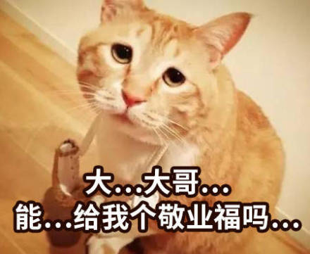 过年集五福用这些表情包就对了