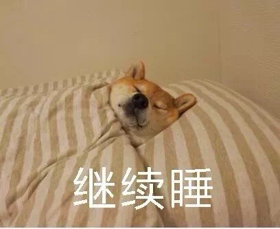 柴犬裹被窝表情包合集