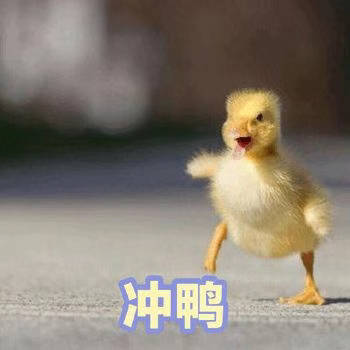 超火小黄鸭鸭鸭表情包合集
