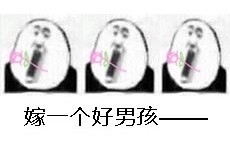 情人节专属狗子表情包来啦