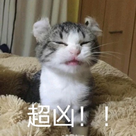 聊天斗图必备！超凶表情包合集整理好了