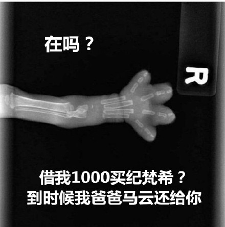 猫爪X光借钱表情包合集