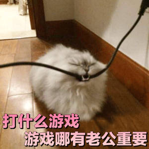哄老公神器！这套萌系表情包直接拿捏另一半