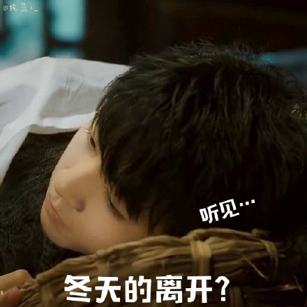 《天坑鹰猎》王俊凯表情包合集