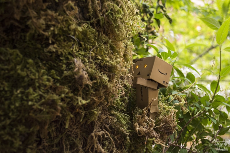 东京日式庭院里的Danbo治愈壁纸