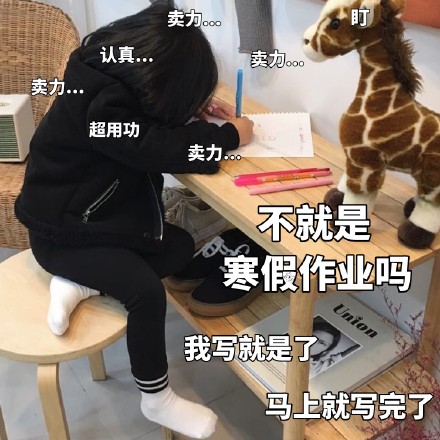 权律二寒假作业表情包来啦，学生党斗图必备